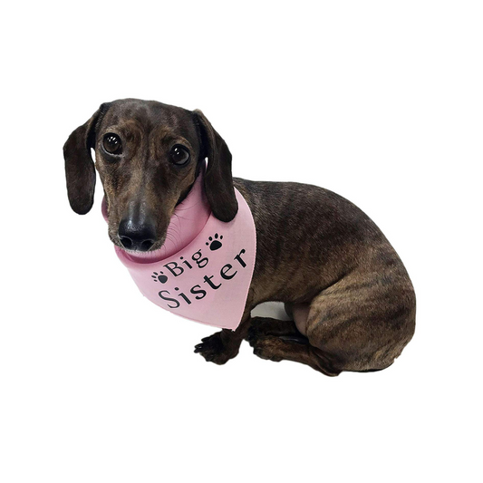 Midlee Big Sister Dog Bandana