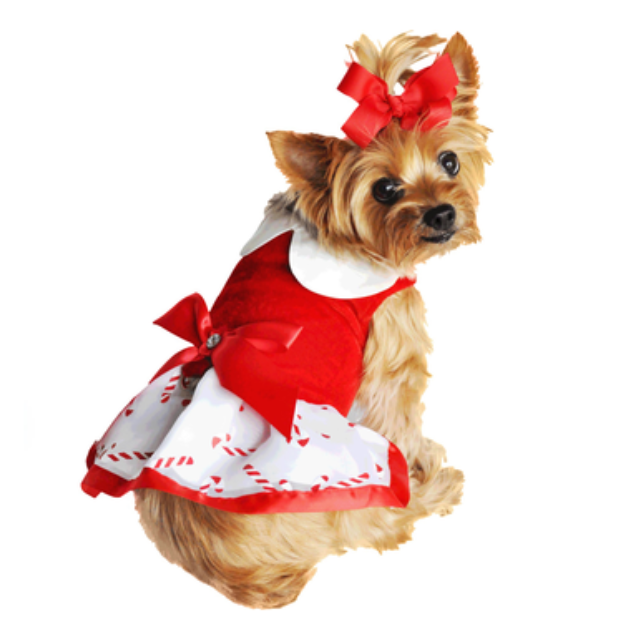 Holiday Dog Harness Dress - Candy Canes (Large)