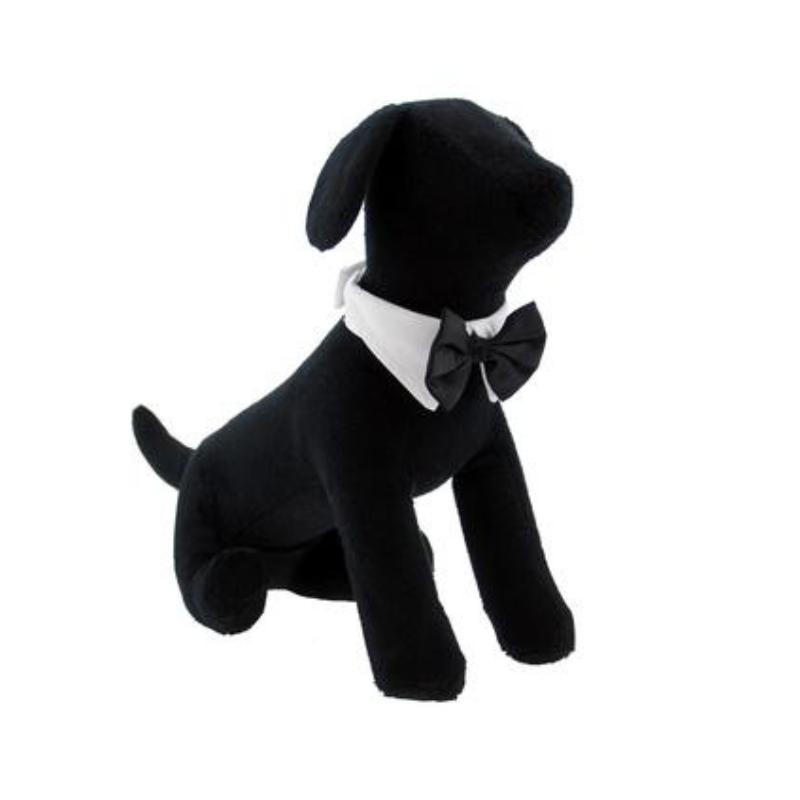 DOGGIE DESIGN Pooch Outfitters Black Satin Bow Tie Dog Collar (PBTB) (3XL- Neck 18-25 inches)
