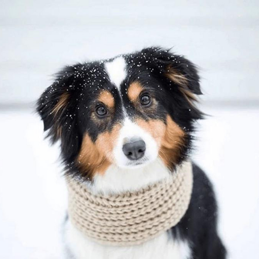 fabdog Infinity Dog Scarf Oatmeal (XS/S)