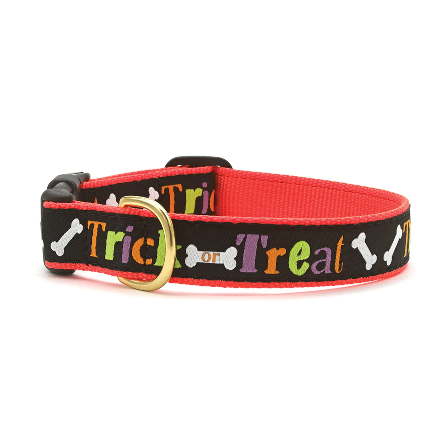 Up Country Trick or Treat Halloween Dog Collar (Large (15-21”); Wide 1”)