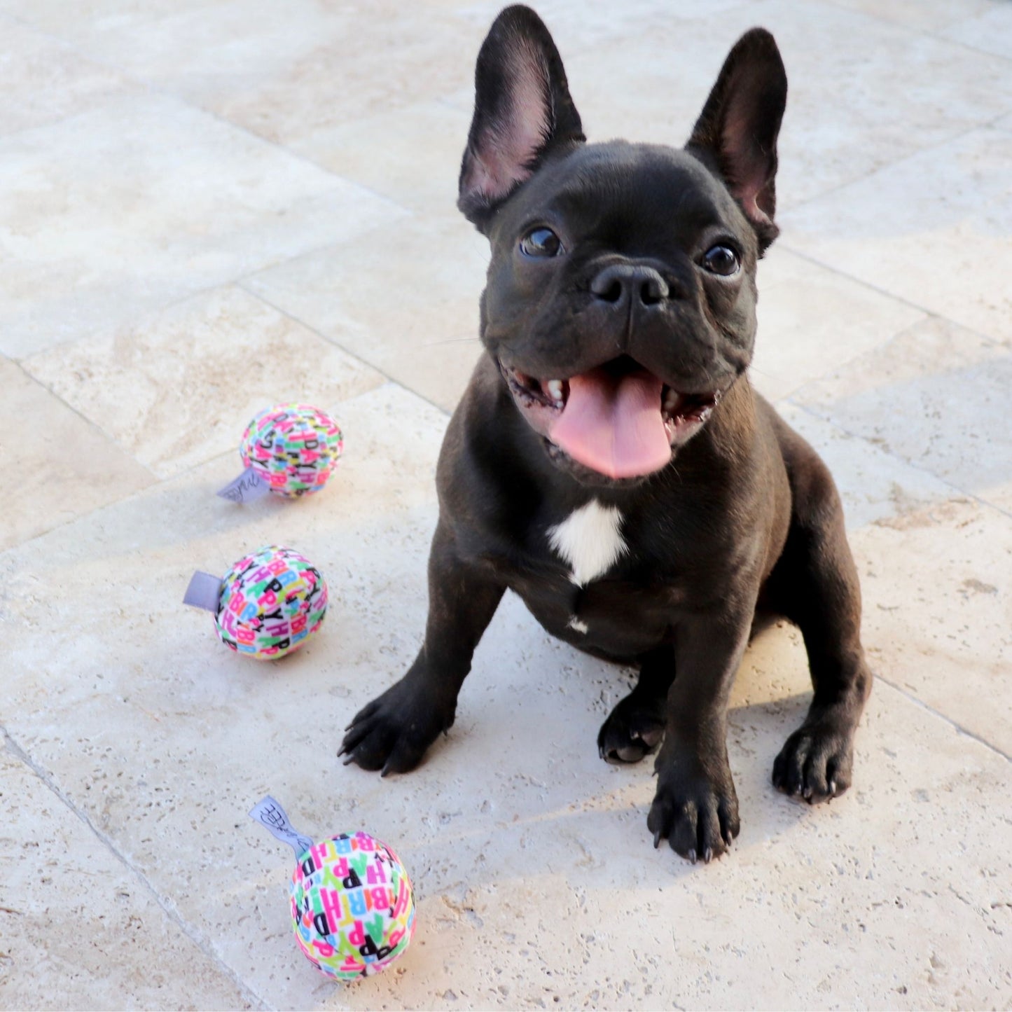 Midlee Plush Birthday Balls Dog Toy- Set of 3