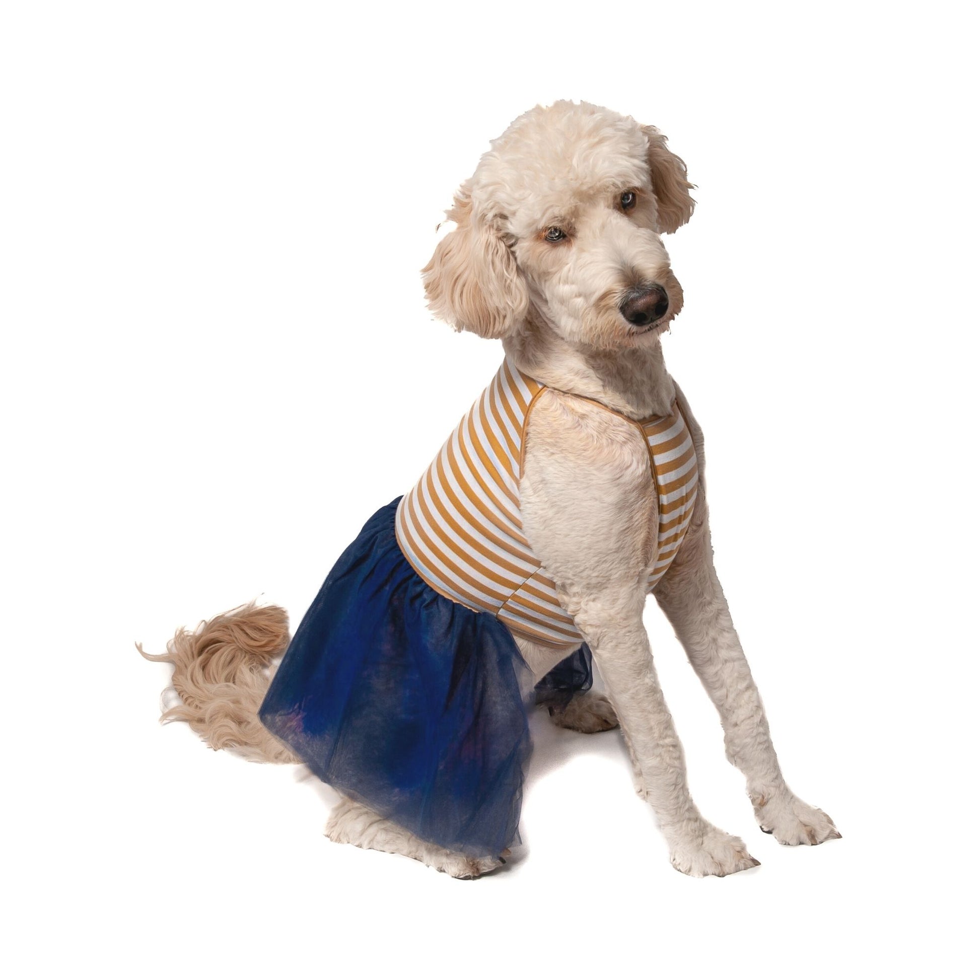 Midlee Elegant Tan & White Stripe Tutu Large Dog Dress Midlee Designs Midlee Elegant Tan & White Stripe Tutu Large Dog Dress Midlee Designs
