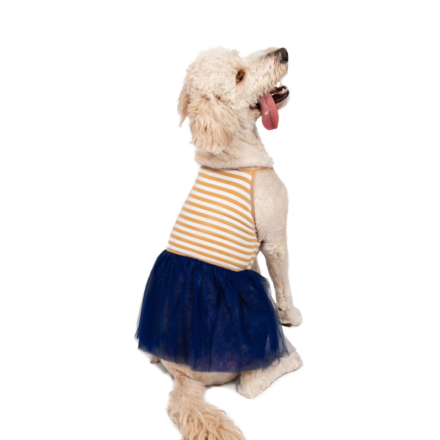 Midlee Elegant Tan & White Stripe Tutu Large Dog Dress