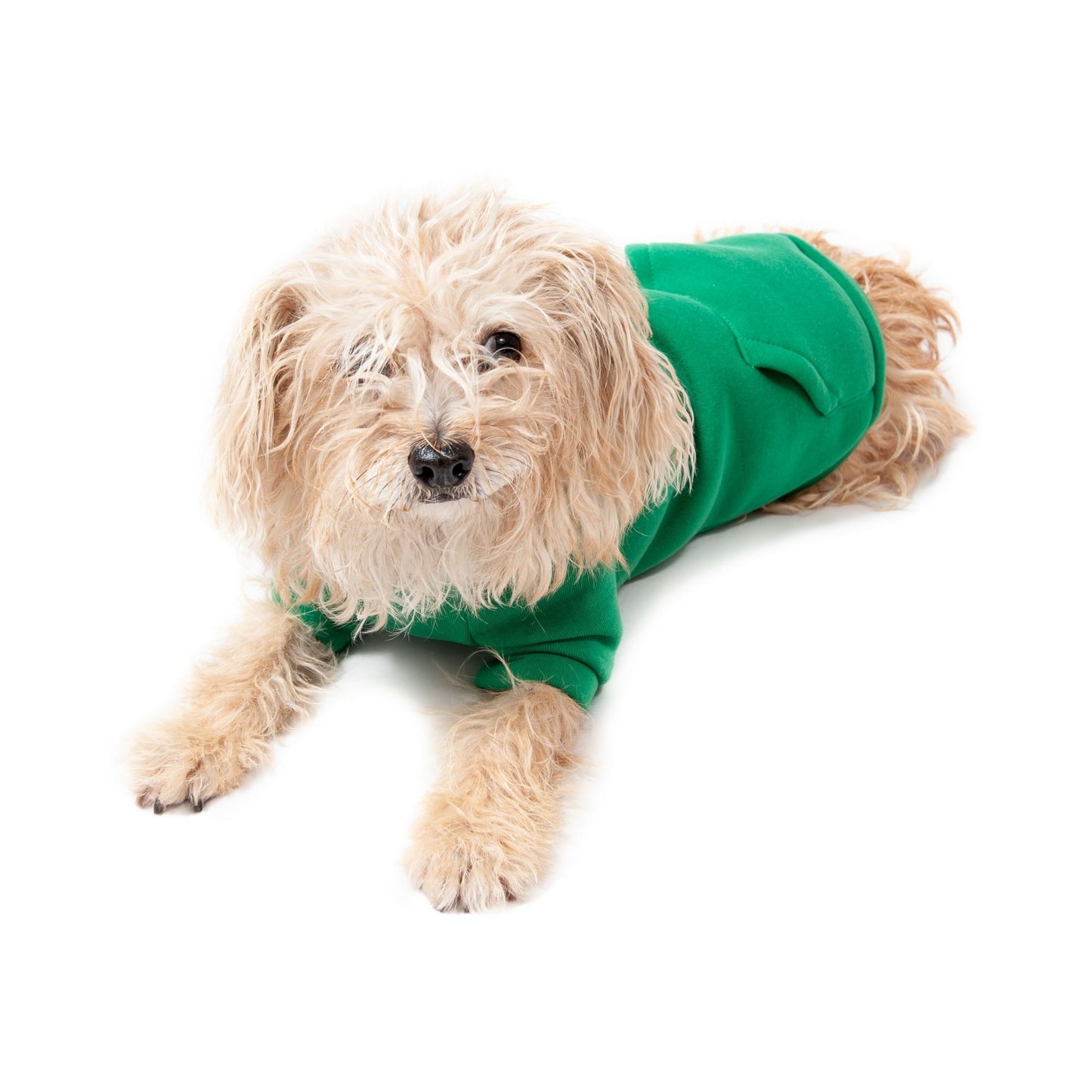 Midlee Green Dog Sweatshirt