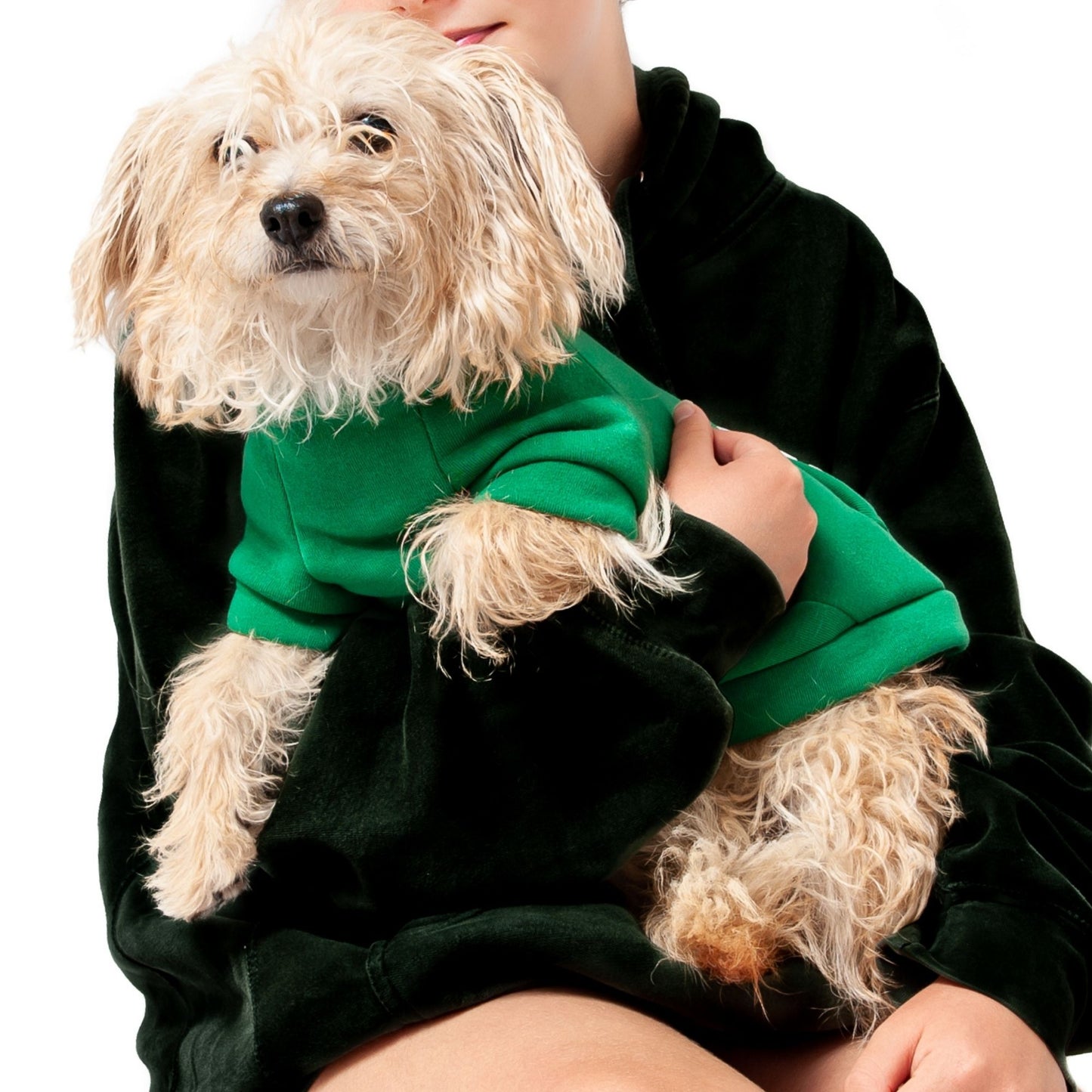 Midlee Green Dog Sweatshirt