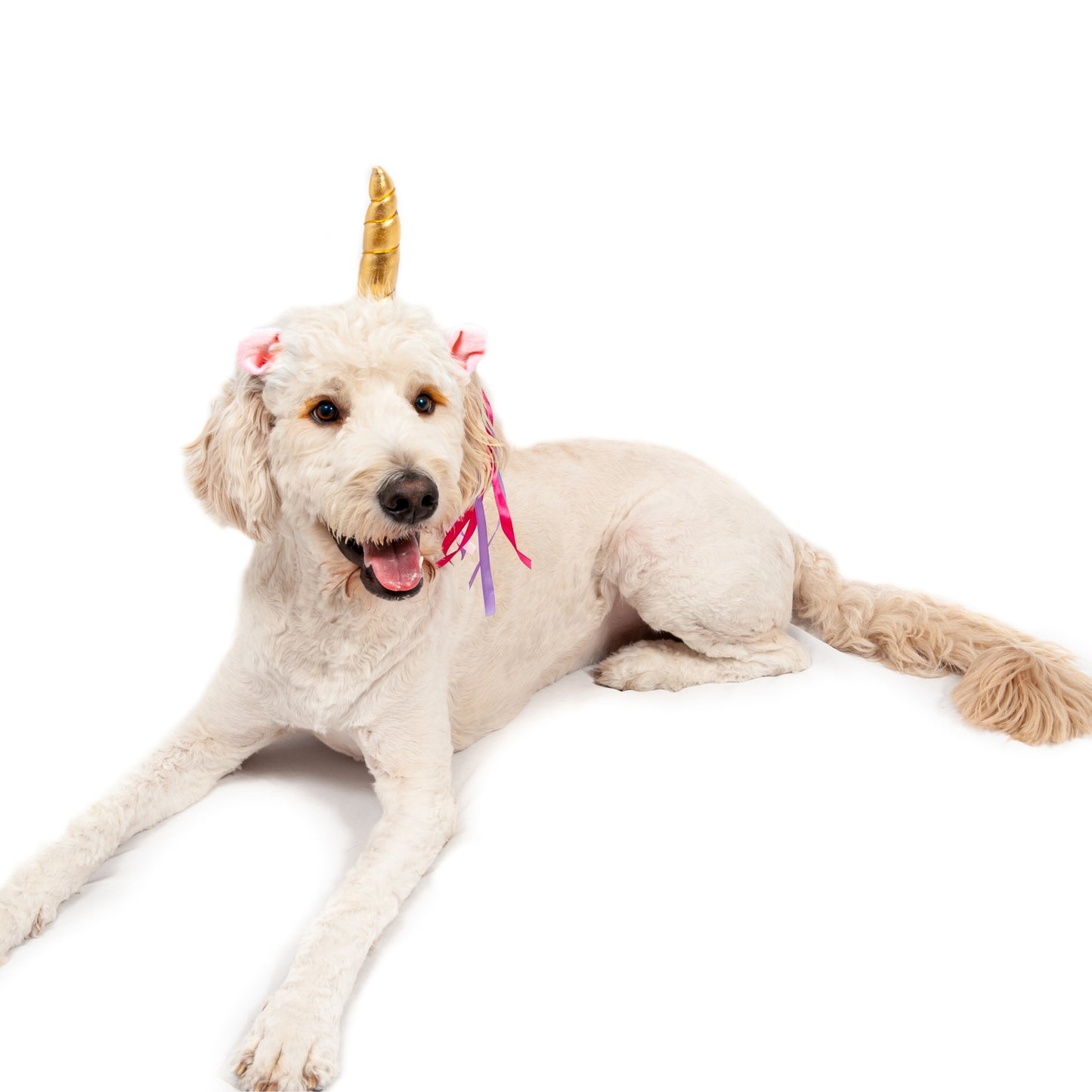 Midlee Dog Unicorn Horn Headband Halloween Costume