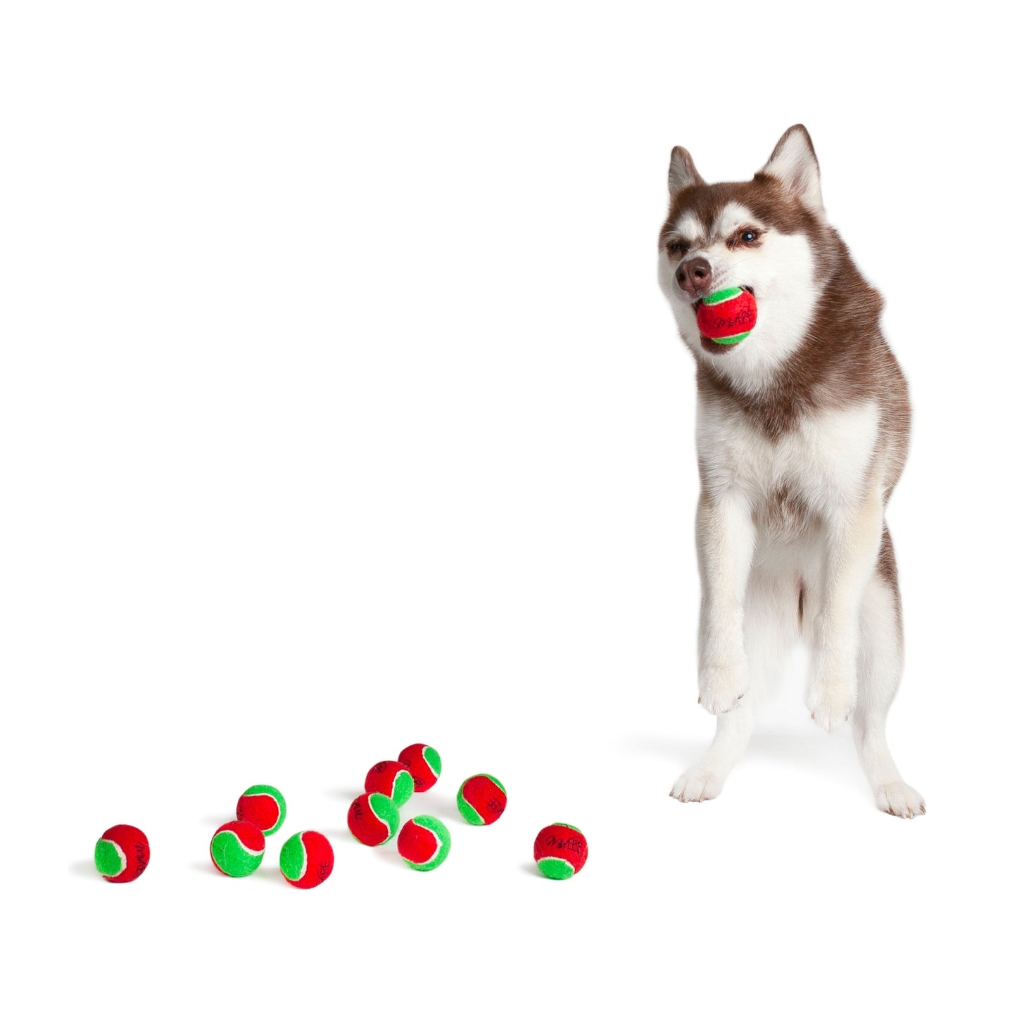 Midlee Candy Cane Tennis Balls Dog 1.5" Balls with Squeaker- Set of 6