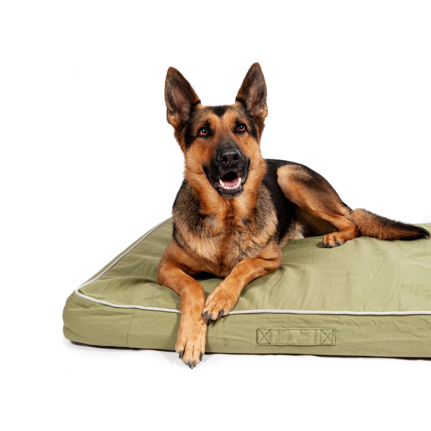 Midlee Green Outdoor Dog Bed