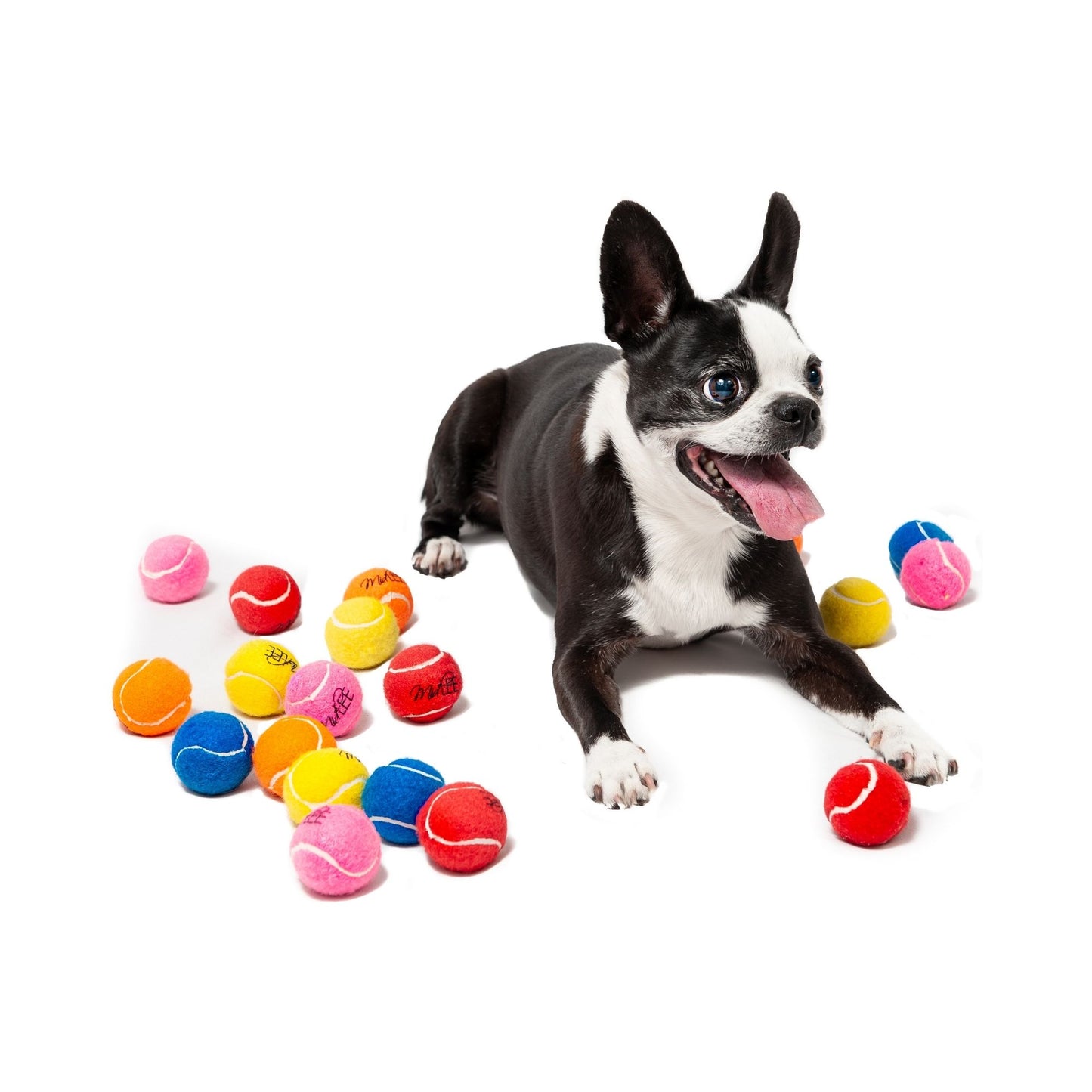 Midlee 1.5" Mini Dog Tennis Balls Bulk Set of 25 Assorted Colors