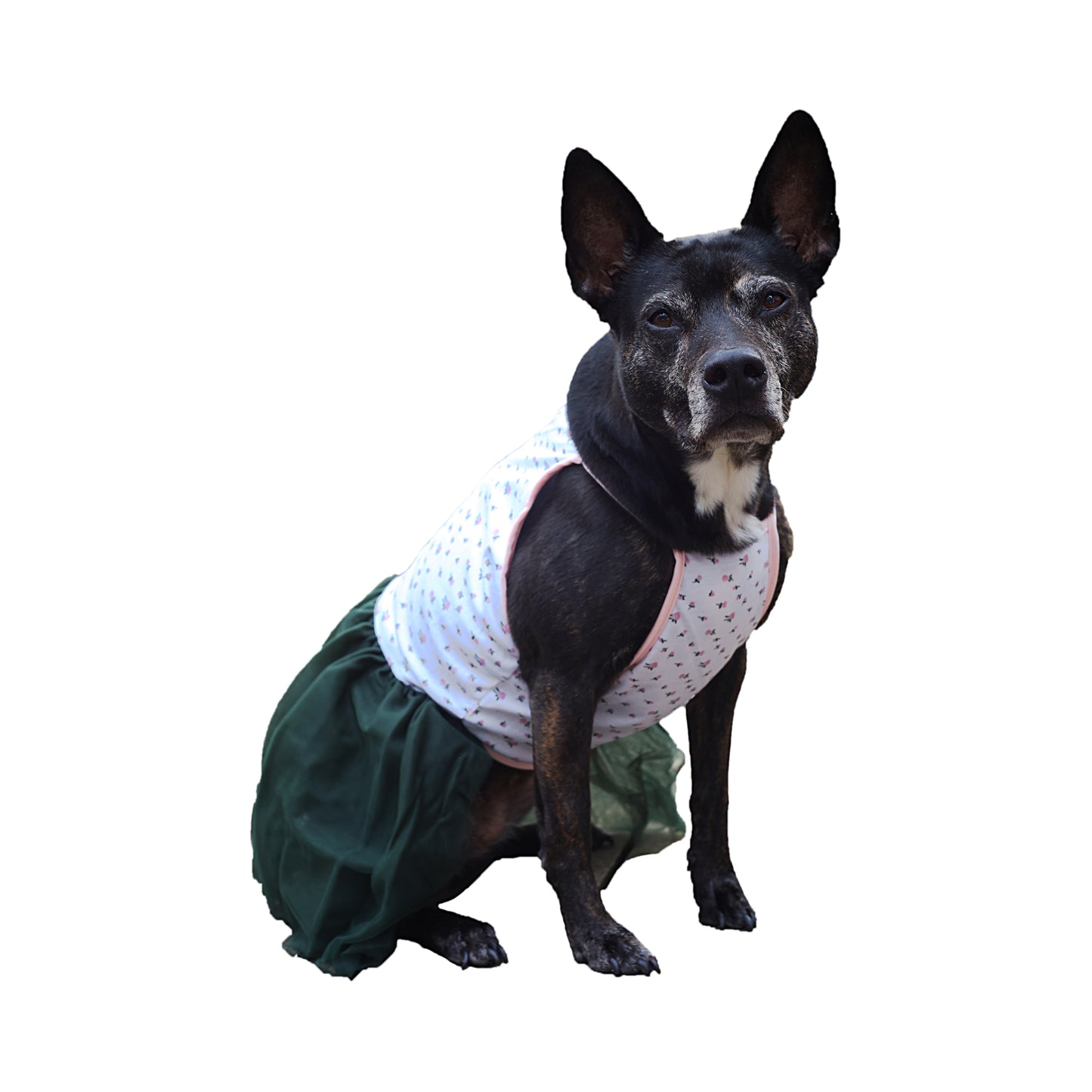 Midlee Pink Rose Tutu Large Dog Easter Dress (XXX-Large)