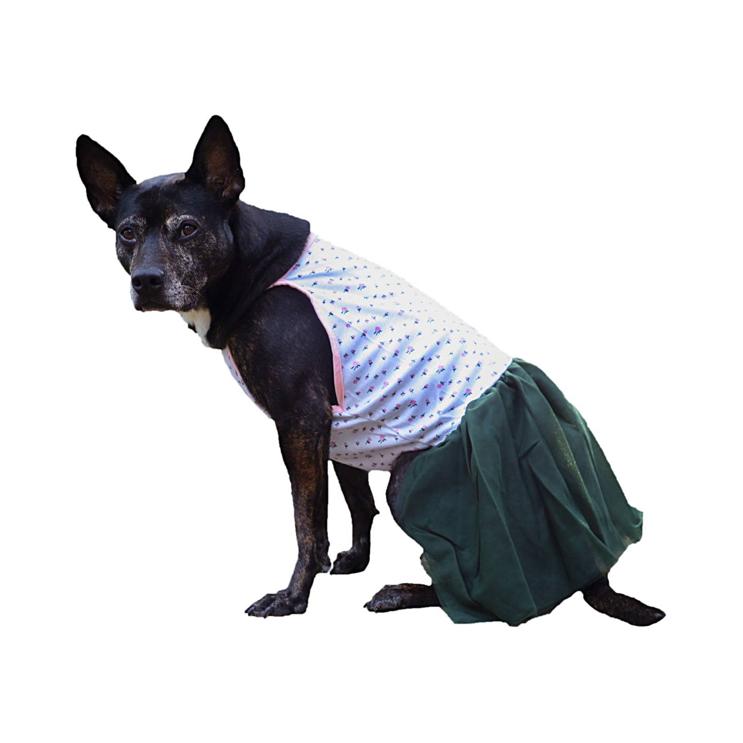 Midlee Pink Rose Tutu Large Dog Easter Dress (XXX-Large)