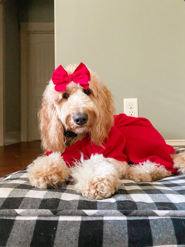 Midlee Red Dog Pajamas