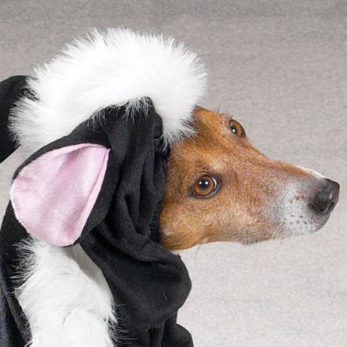 SMALL - LITTLE STINKER - Dog Halloween Costume
