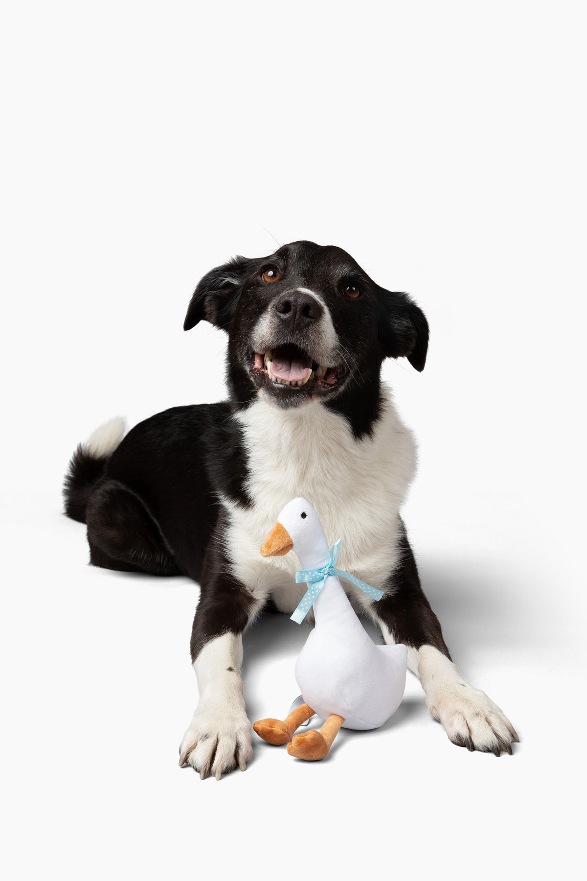 Midlee White Goose Plush Dog Toy