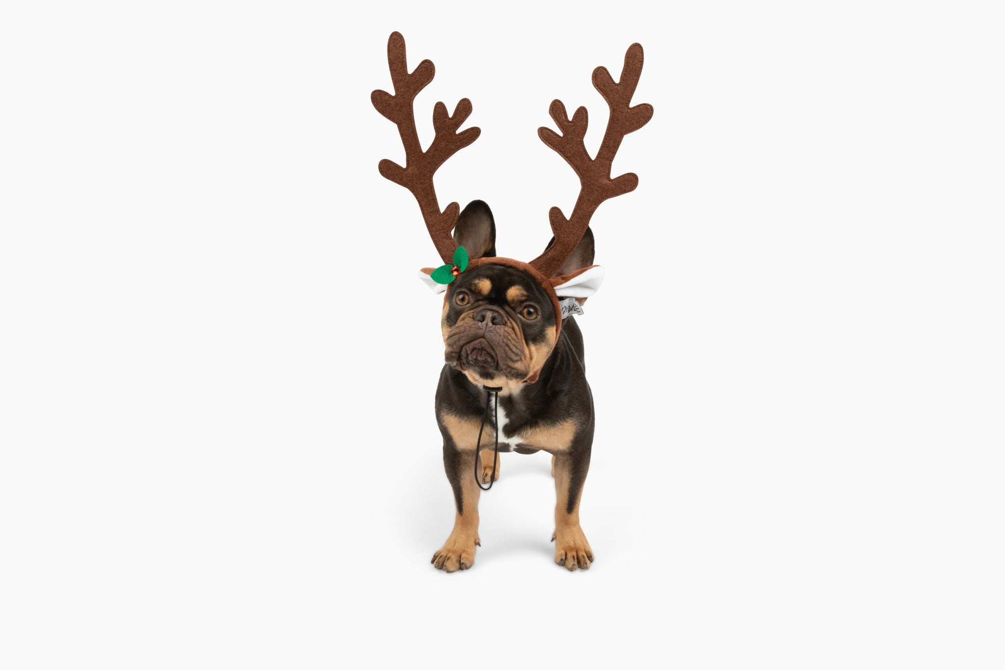 Brown reindeer online antlers