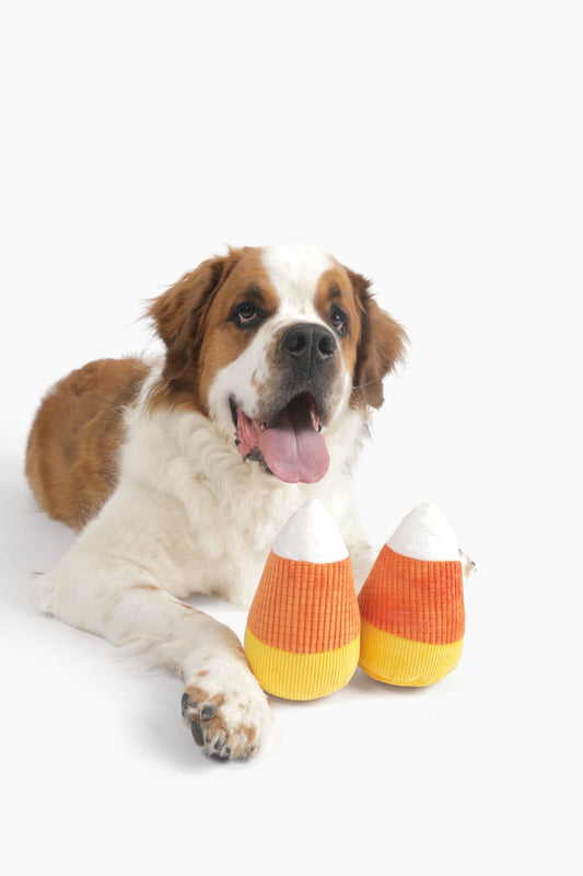 Midlee Candy Corn Plush Halloween Dog Toy - Set of 2