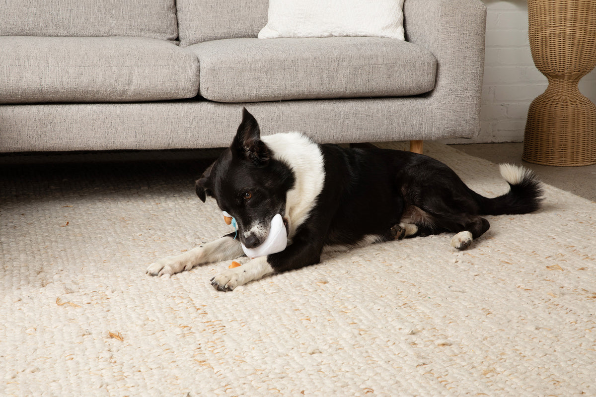 Midlee White Goose Plush Dog Toy