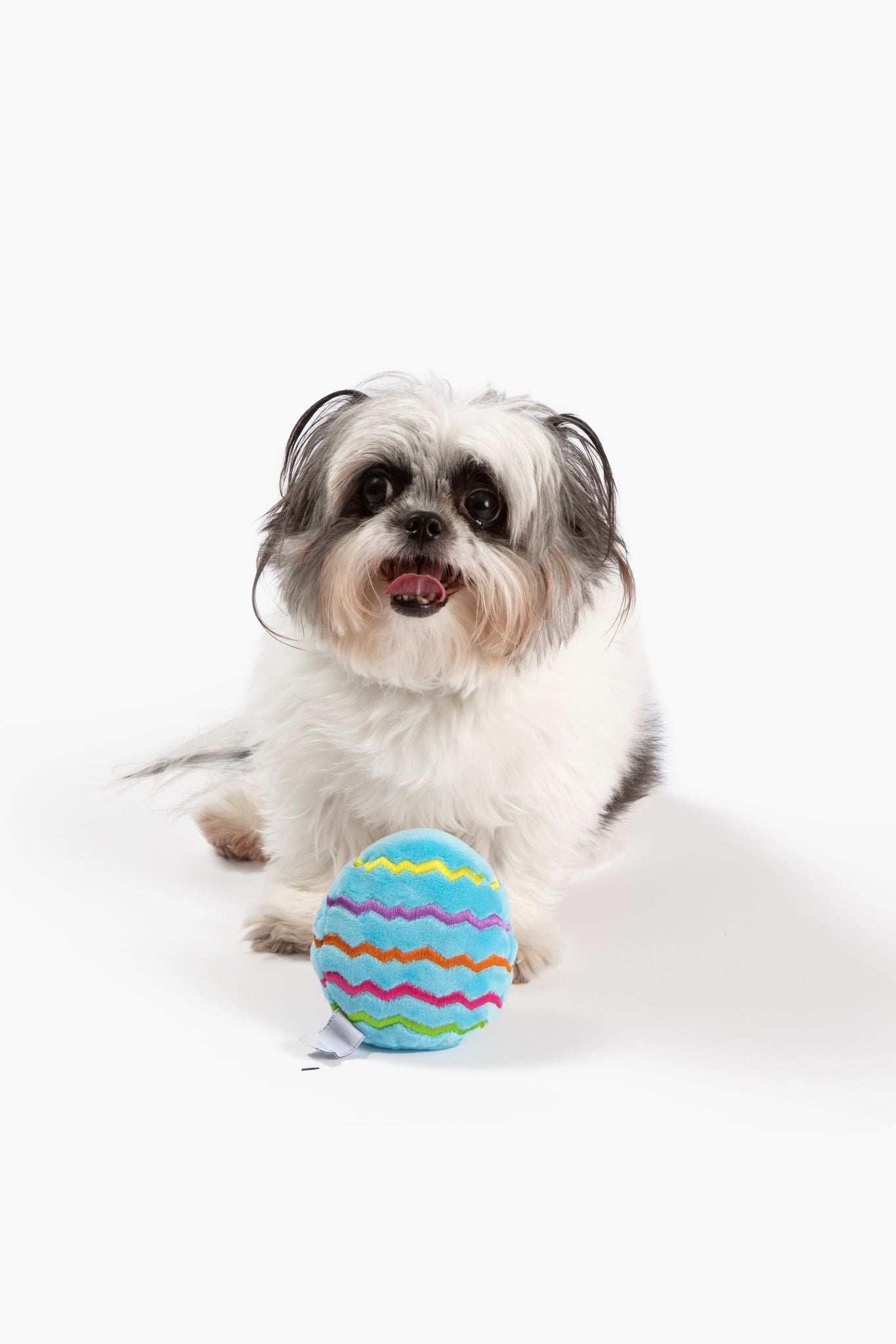 Midlee Plush Easter Egg Dog Toy- Blue