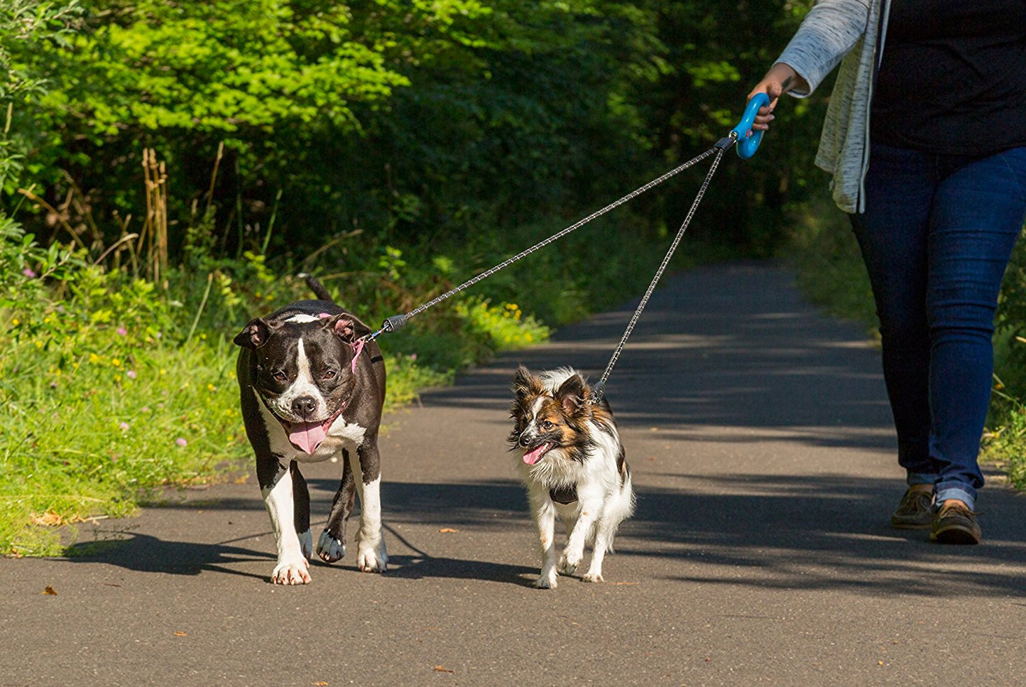 Wigzi Dual Doggie Gel Leash, Standard