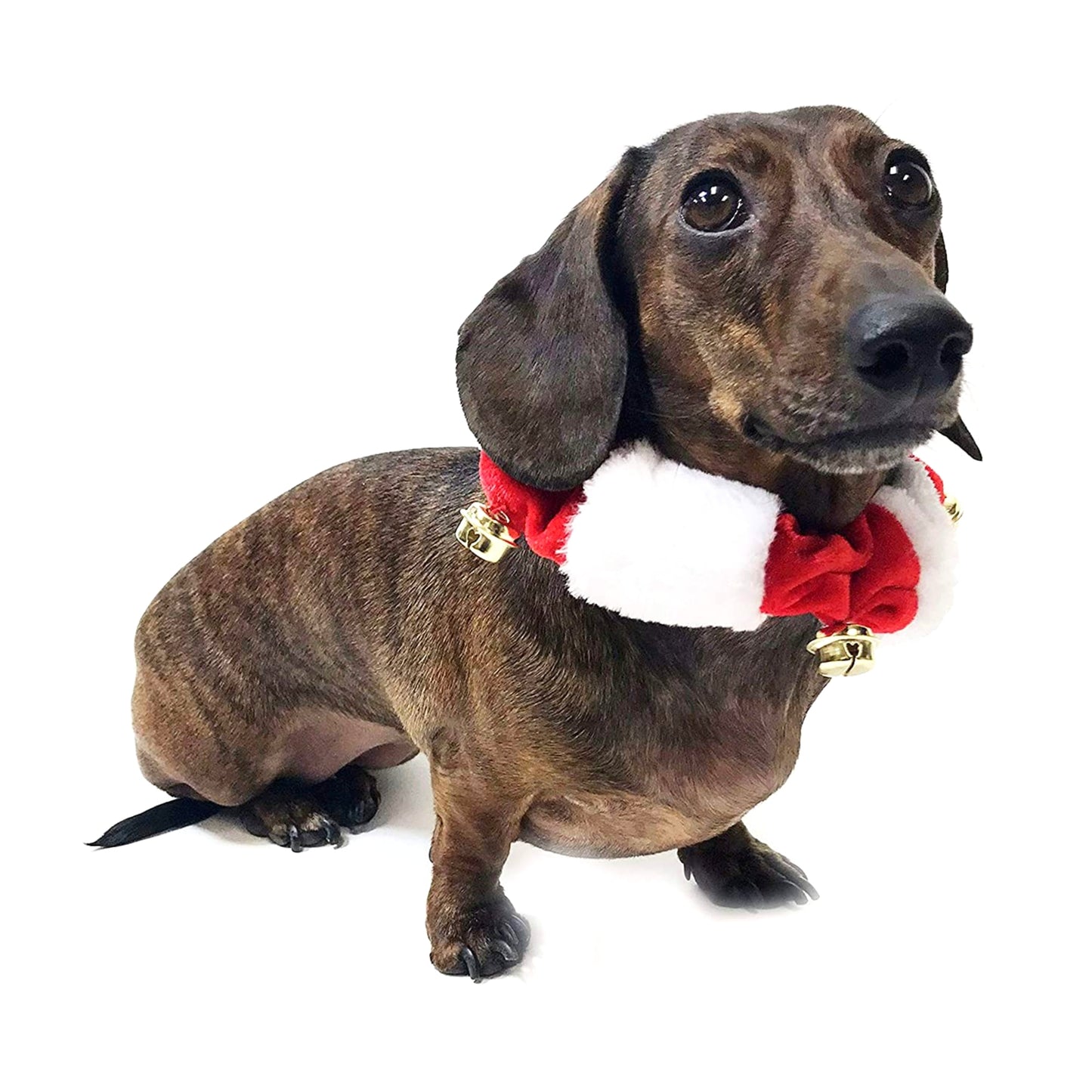 Midlee White/Red Christmas Plush Bell Collar