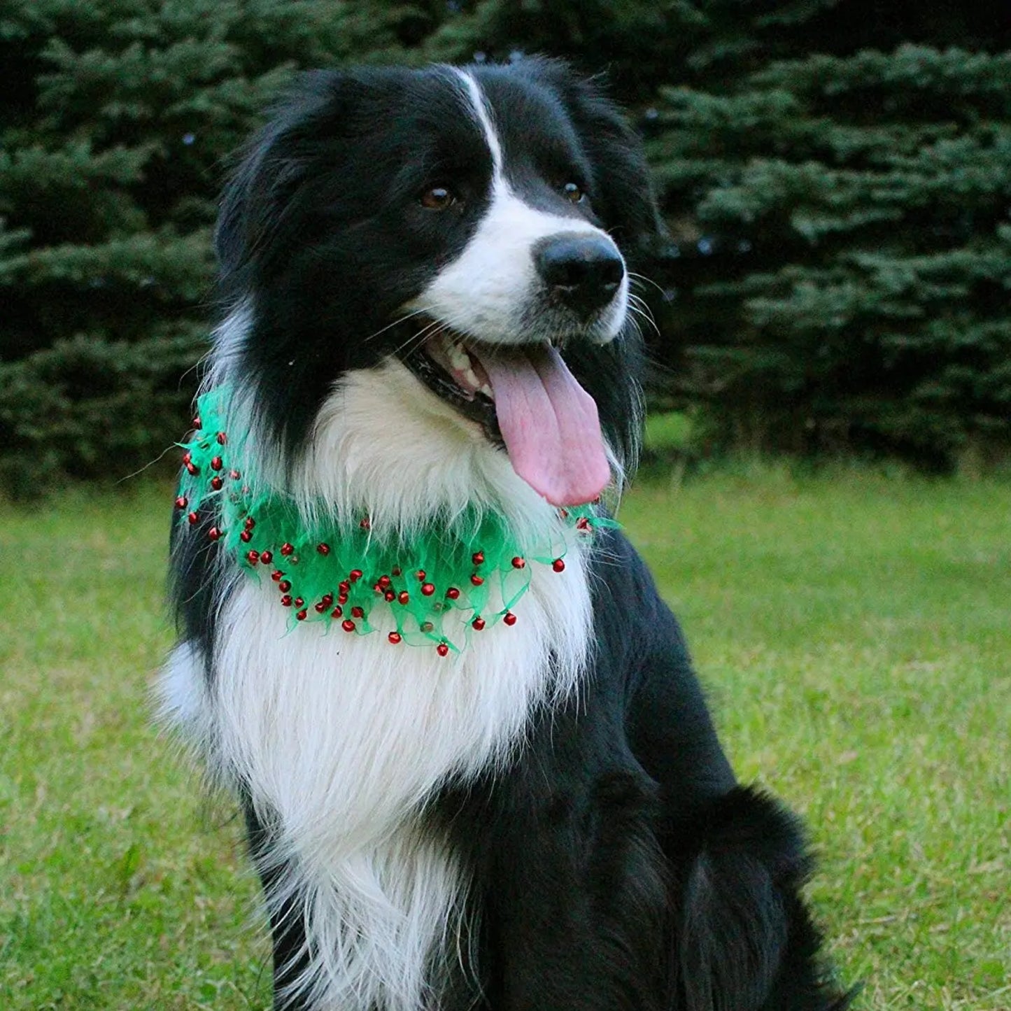 Midlee Wreath Jingle Bell Decorative Dog Collar