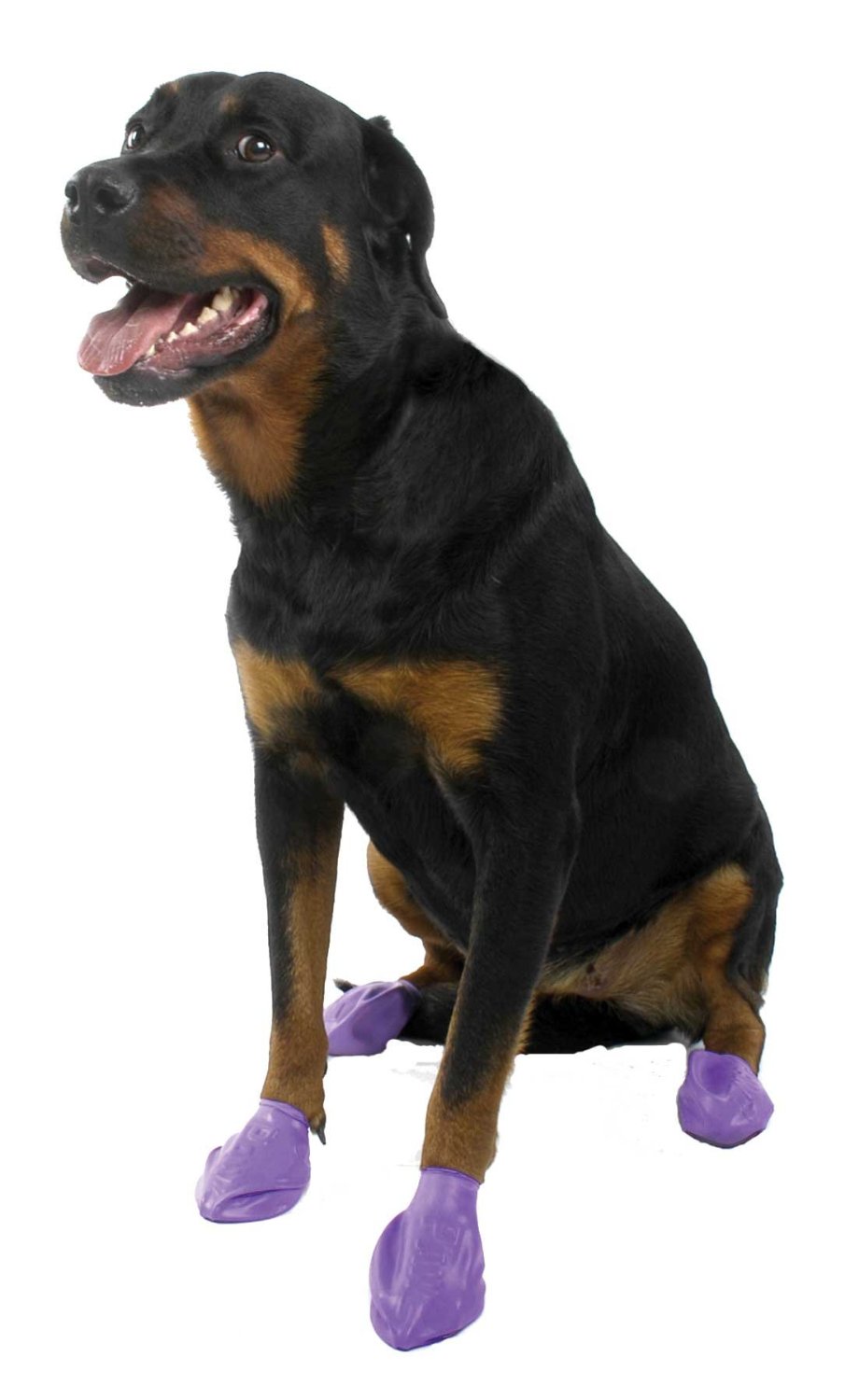 Pawz Purple Waterproof Dog Boots, Large (12 Disposable-reusable Boots)