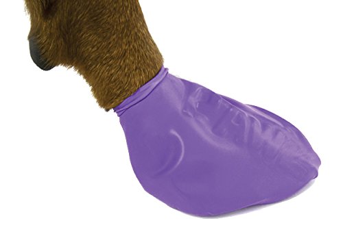 Pawz Purple Waterproof Dog Boots, Large (12 Disposable-reusable Boots)