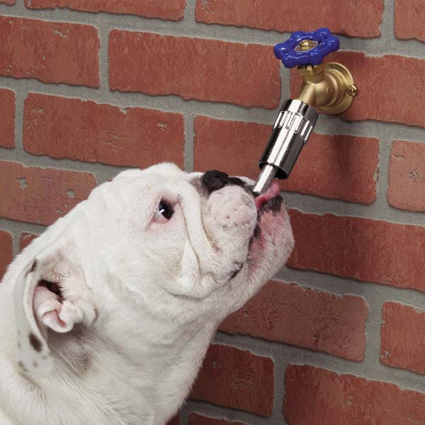 Cool Pup Unique and Innovative Outdoor Faucet Waterers
