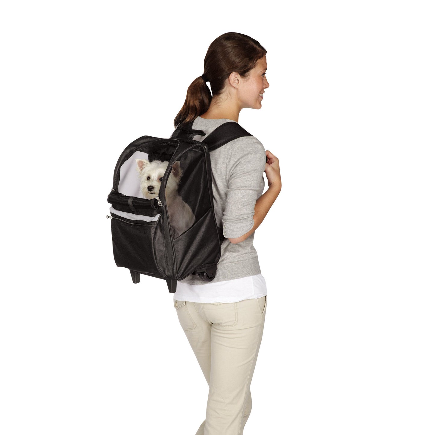 Cruising Companion Black On The Go Backpacks