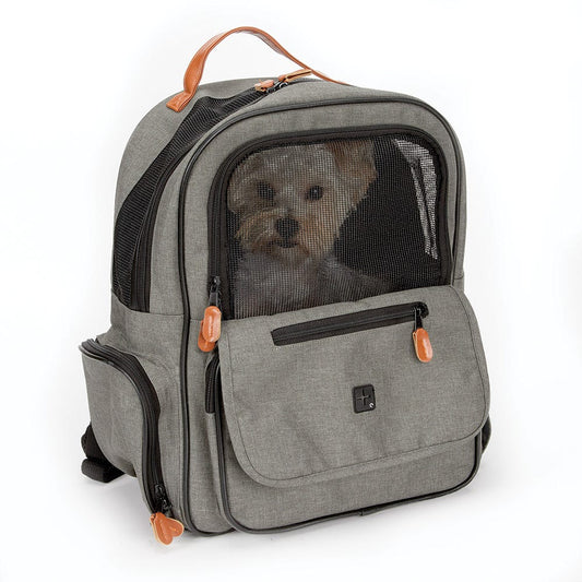 Cruising Companion Grey Black On The Go Backpacks