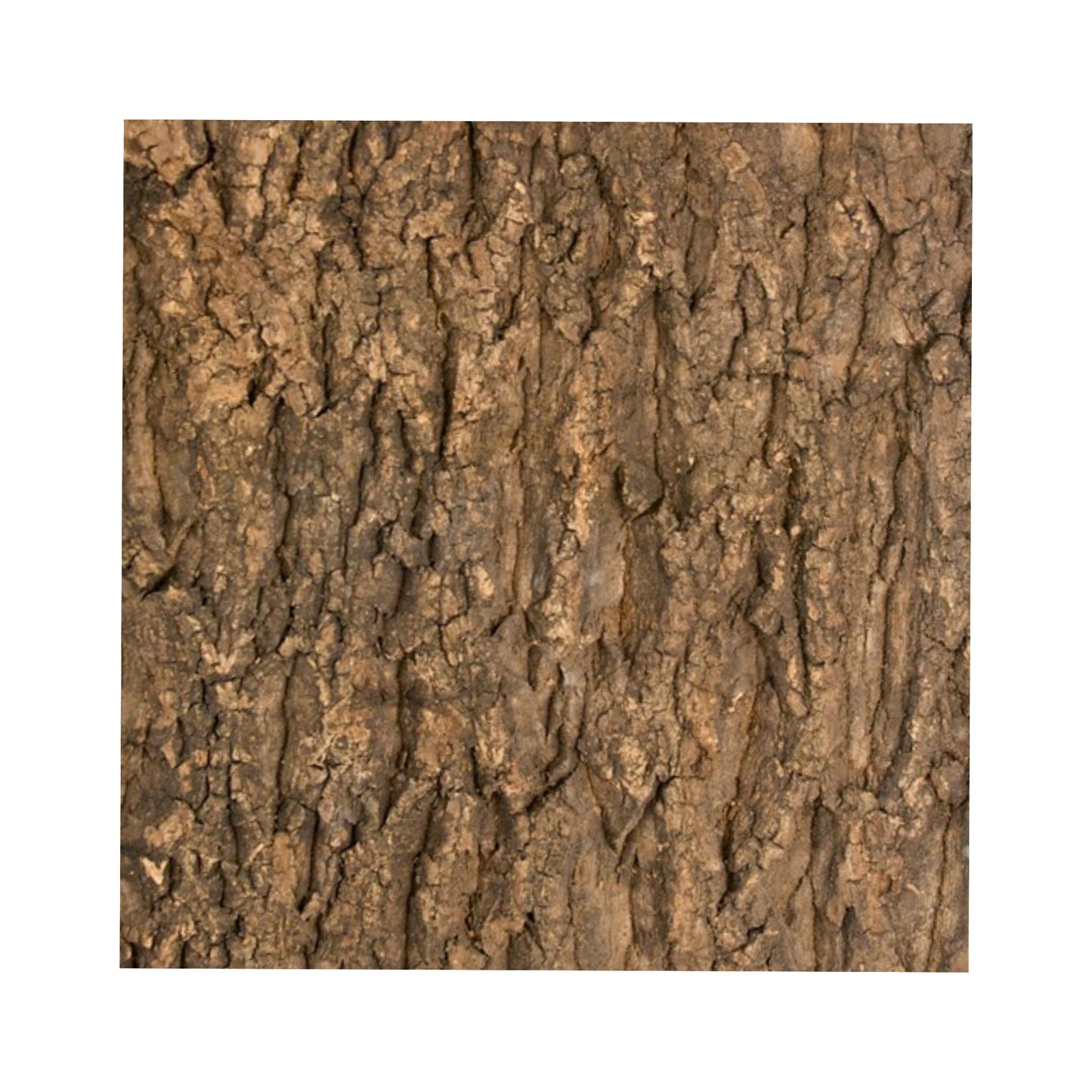 Zoo Med Natural Cork Tile Terrarium Background - (12" x 18")