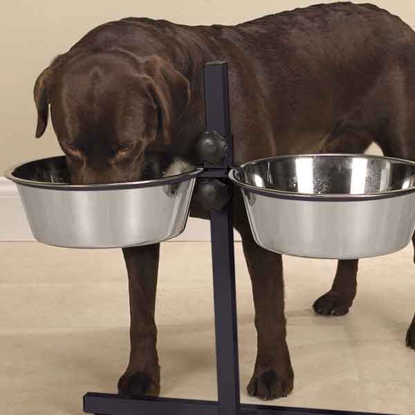 Pro Select Stainless Steel Adjustable Dog Diner Bowl Diners