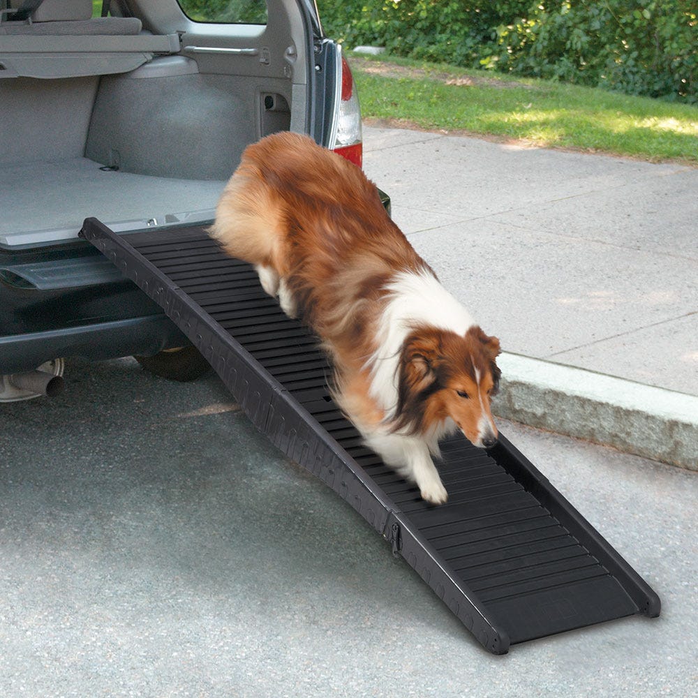 Cruising Companion Black Tri-Fold Vehicle Pet Ramp- DS