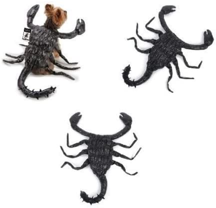 Zack & Zoey Scorpion Costume for Dogs, 8" X-Small