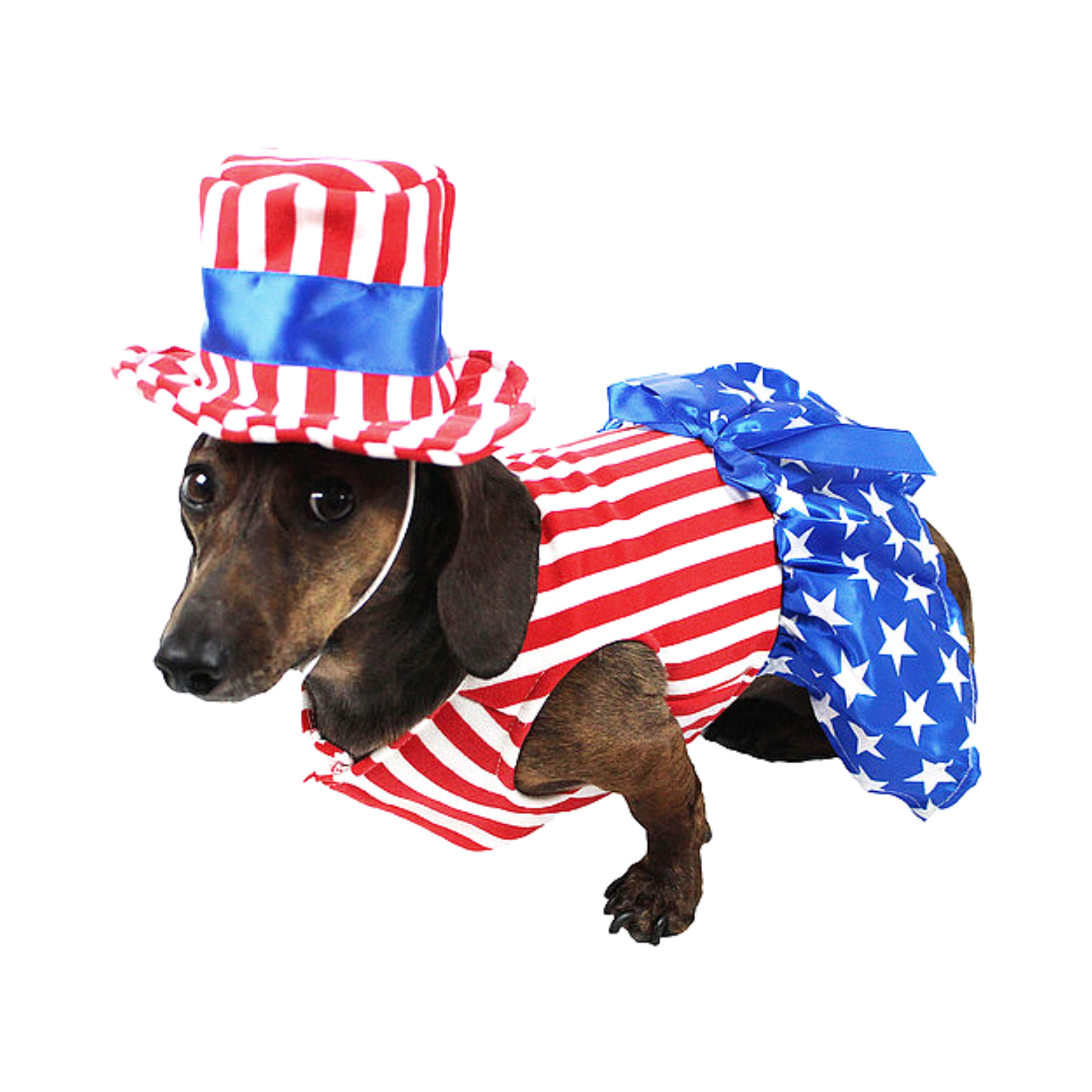 Midlee 4th of July Outfit for Small Dogs – Midlee Designs