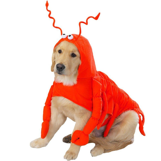 Casual Canine Lobster Paws Dog Costume, XX-Large (fits lengths up to 30"), Red-Orange