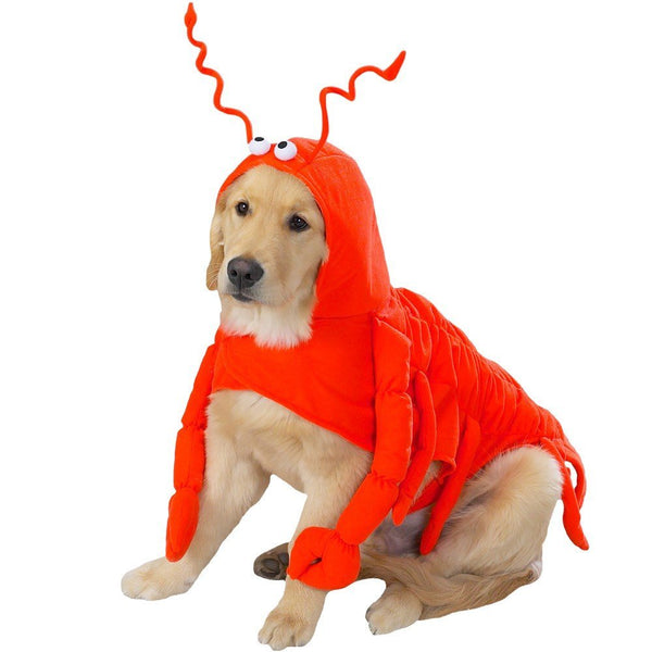 Casual Canine Lobster Paws Dog Costume, X-Large (fits lengths up to 24"), Red-Orange