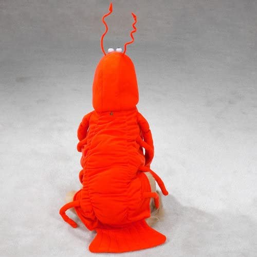 Casual Canine Lobster Paws Dog Costume, X-Large (fits lengths up to 24"), Red-Orange