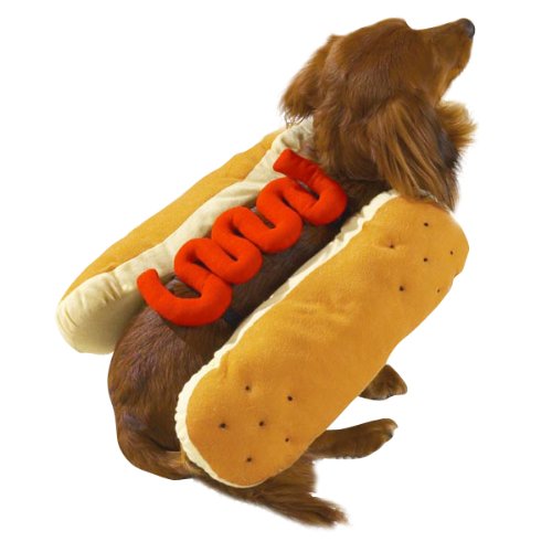 Casual Canine Hot Diggity Dog Costume, Medium (fits lengths up to 16"), Ketchup