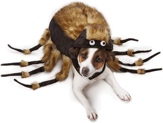 Zack & Zoey Fuzzy Tarantula Costume for Dogs, 16" Medium