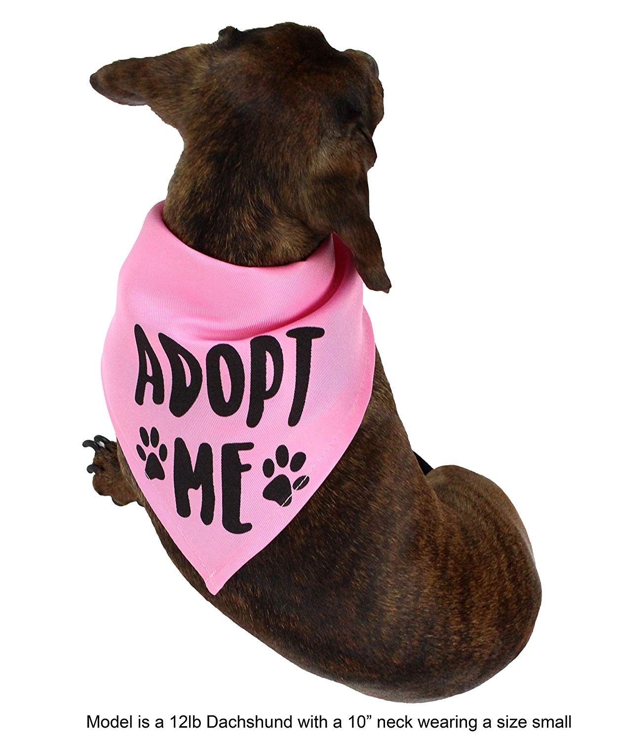 Midlee Adopt Me Dog Bandana- Pack of 4 Assorted Colors