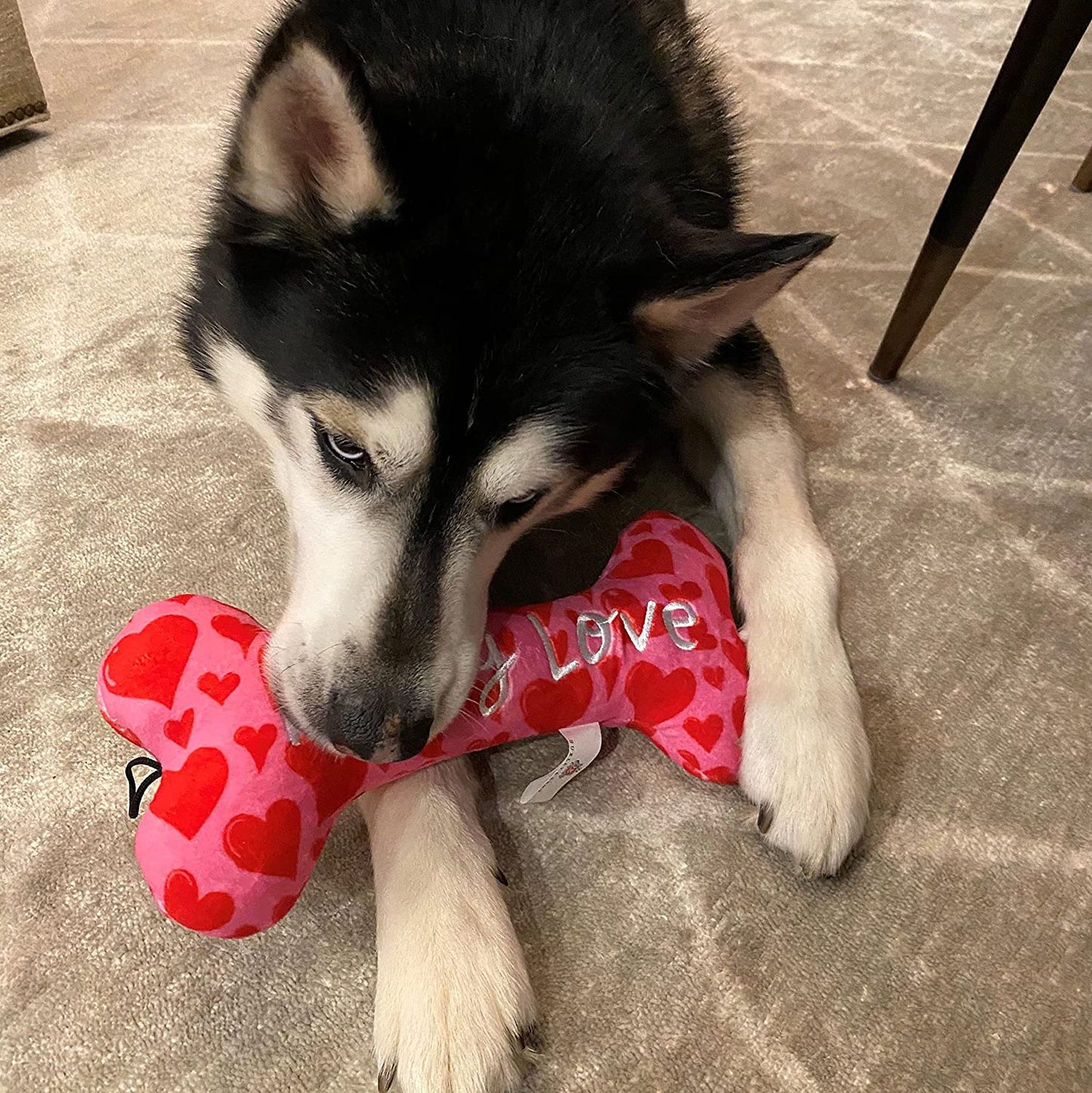 Lulubelles My Puppy Love Valentine's Dog Bone