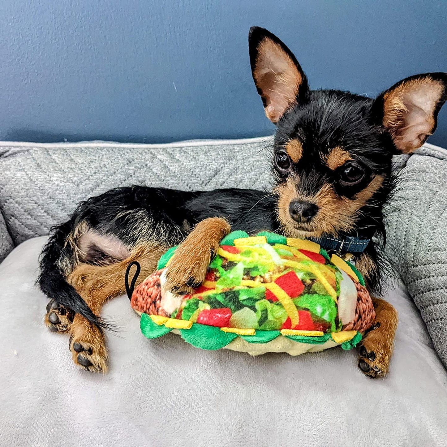 Lulubelles Taco Tuesday Dog Toy