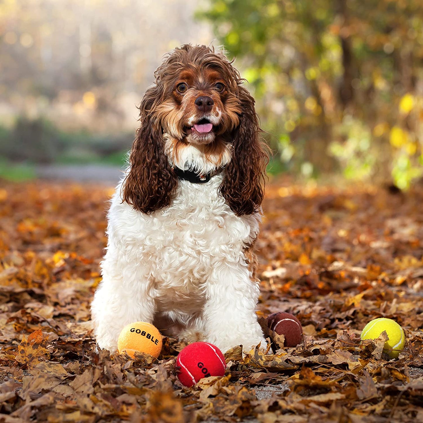 Thanksgiving Dog Tennis Balls