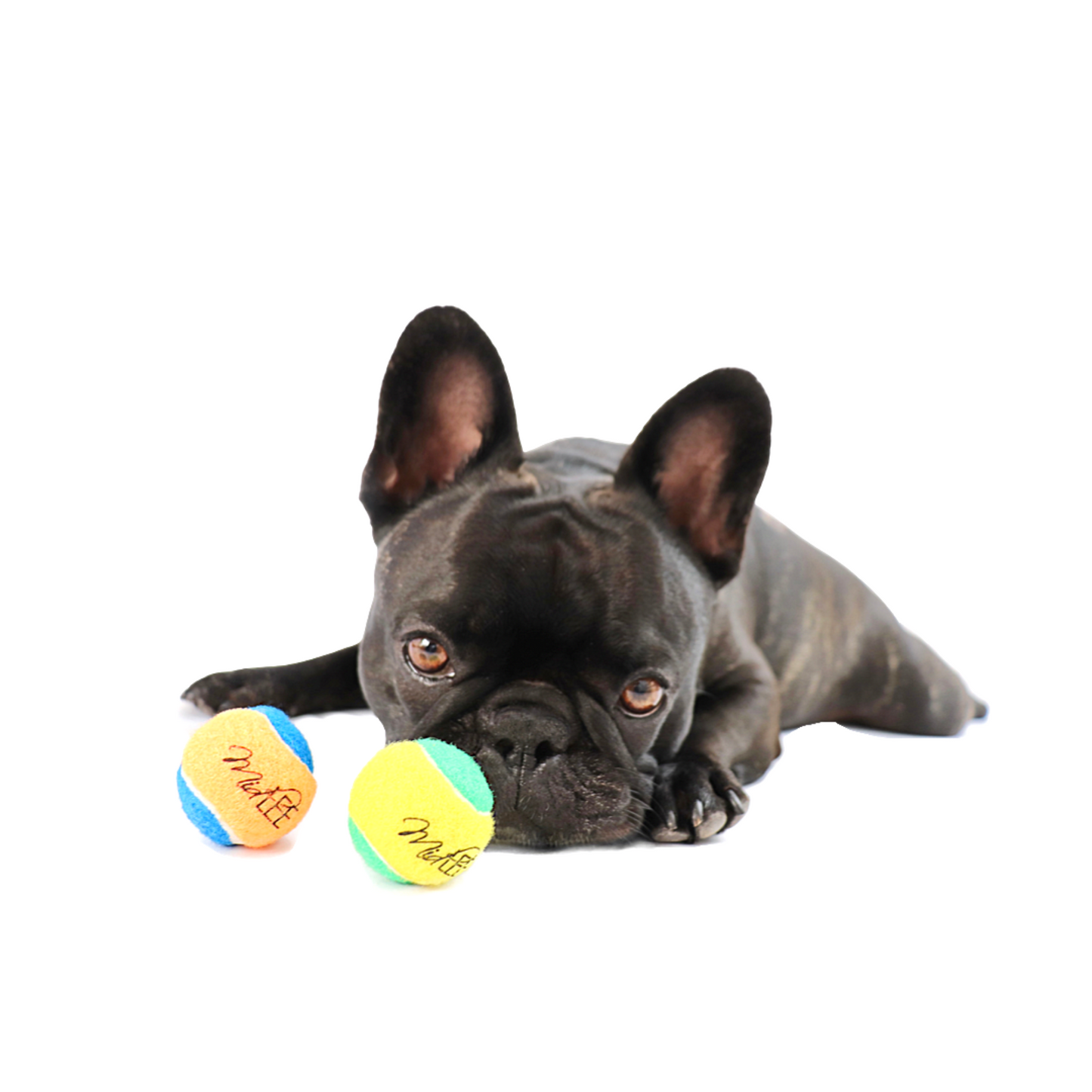 Midlee X-Small Dog Tennis Balls 1.5" Pack of 12 (Assorted, 1.5 inch)