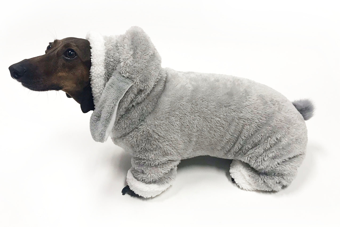 Midlee Small Dog Bunny Dog Costume