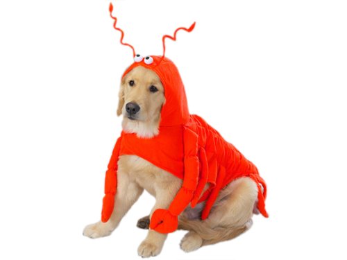 Casual Canine Lobster Paws Dog Costume, Large (fits lengths up to 20"), Red-Orange