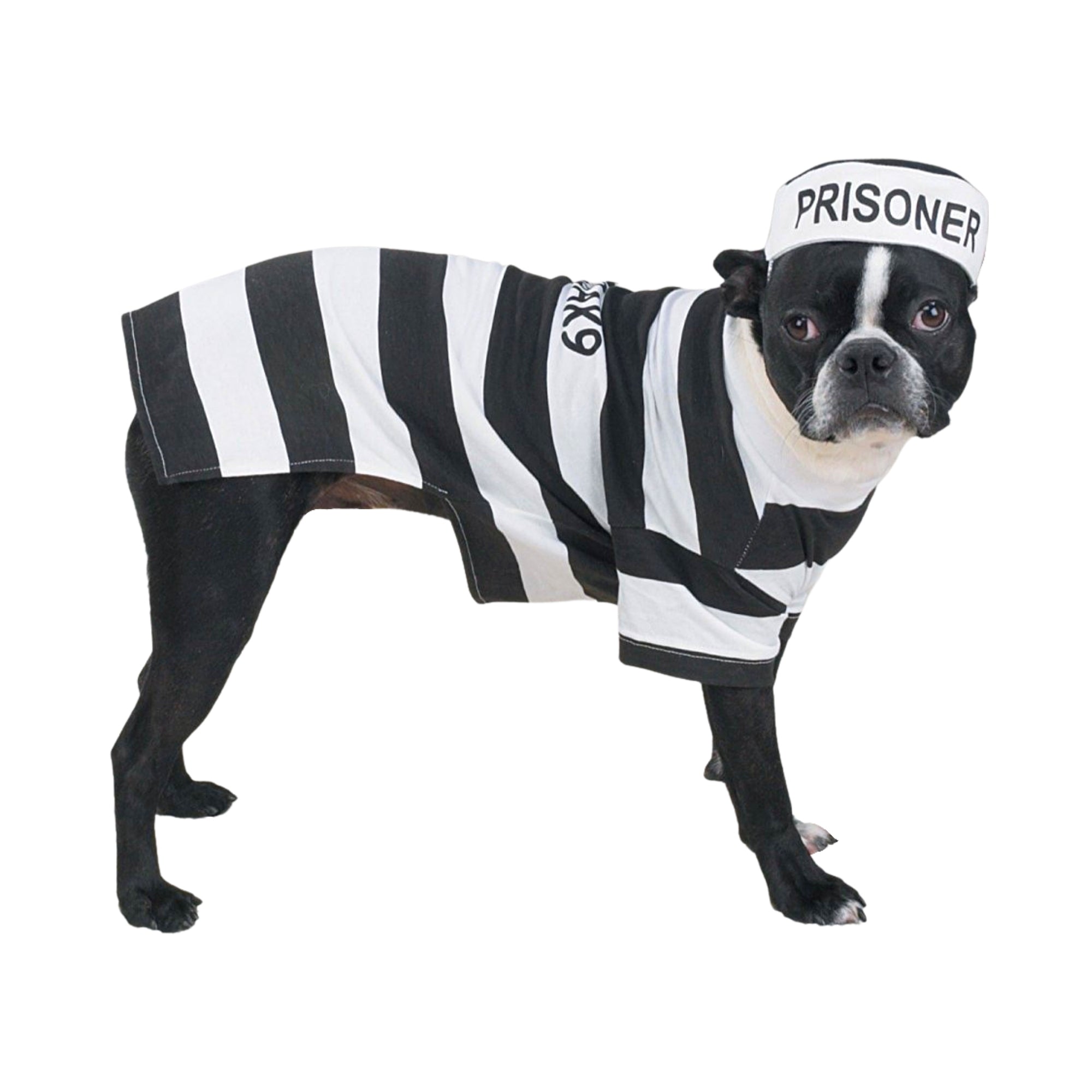 Casual Canine Prison Pooch Costume, Small