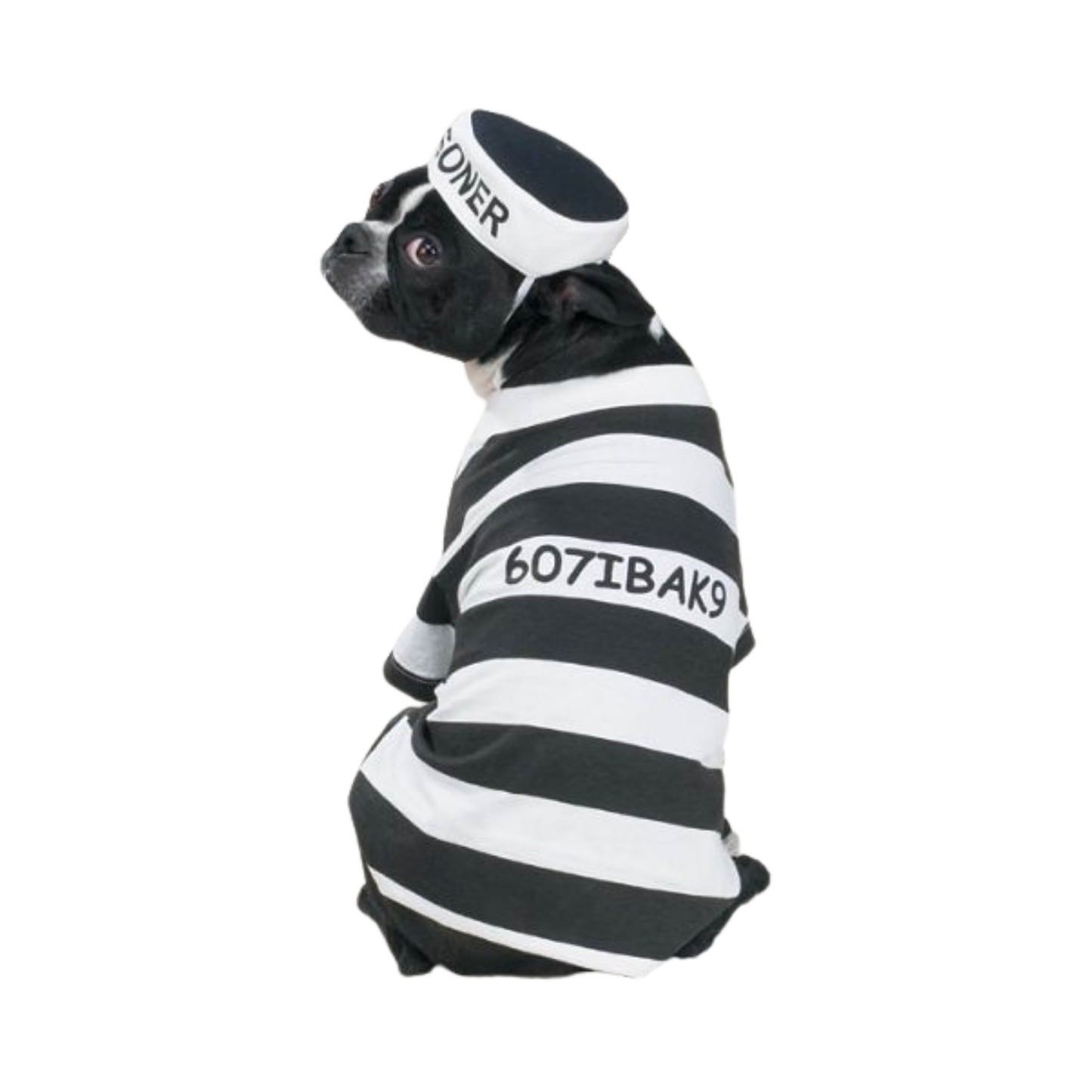 Casual Canine Prison Pooch Costume, X-Small